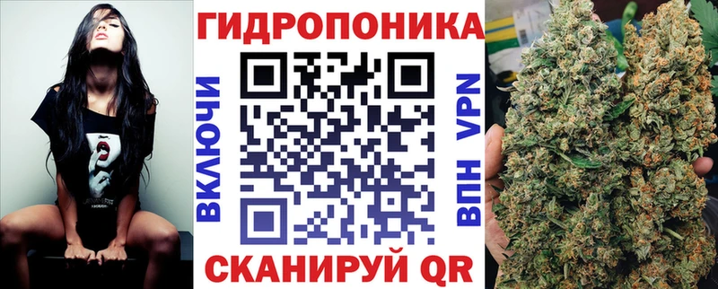 Бошки марихуана Amnesia цены наркотик Великие Луки